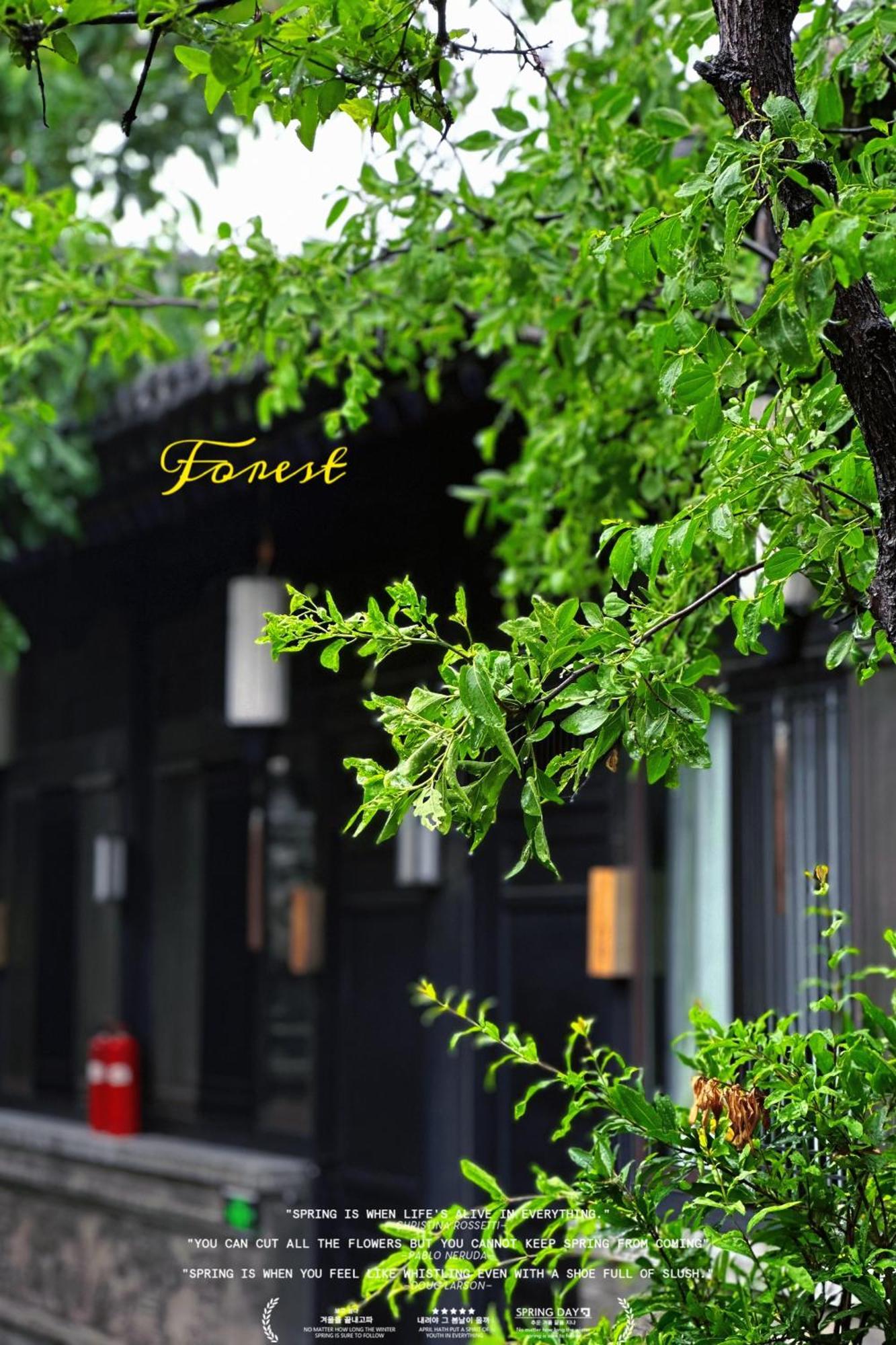 Elsewhere Hotel Inn North Street Branch 핑야오 외부 사진